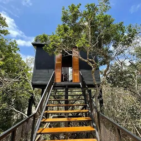 Increíble casa elevada con cenote privado en Tulum